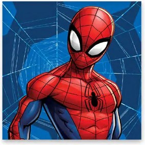 Pókember Web kéztörlő, arctörlő, törölköző 30x30cm