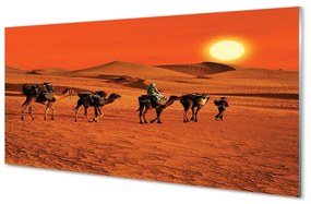 Akrilkép Tevék az emberek sivatagi nap ég 100x50 cm