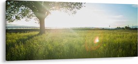 Nyári rét képe (120x50 cm)