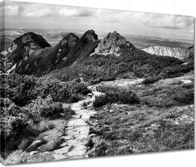 Vászonkép 40x30 Tátra Lengyel hegyek Kilátás