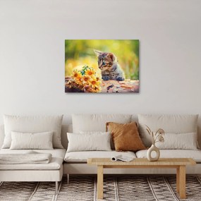 Macska képe ahogy a virágot nézi (70x50 cm)