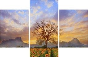 Kép - Táj napraforgóval (90x60 cm)