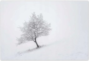 Poszterek 155x105 Fa Fák Kilátás