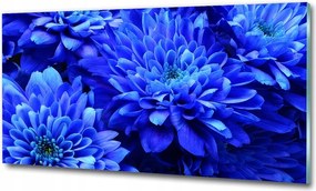 Fotó vászonkép edzett üveg Orchidea 100x70