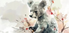 Poszter 91,3x44,5cm Akvarell koala