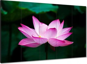 Vászonkép 100x70 Lótuszvirág