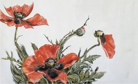 Flizelin tapéta falra Prémium piros pipacs 416x254 Ragasztó