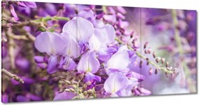 Vászonkép 120x60 Lila virágok Virágok