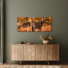 Zebrák képe (120x50 cm)