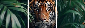 Kép - Egy tigris portréja a dzsungelben (órával) (90x30 cm)