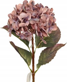 Hortenzia ág barna-lila