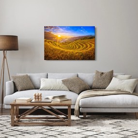 Kép - Rizs teraszok Vietnamban (90x60 cm)