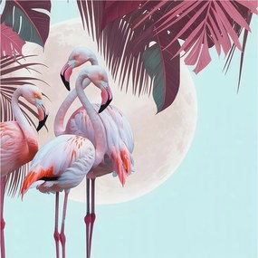 Fali fotótapéta előszoba konyhába Egzotikus madarak 250x250 Ragasztó