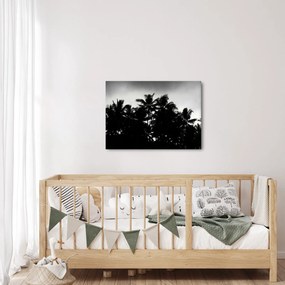 A fekete-fehér pálmafák képe (70x50 cm)