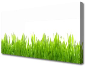 Vászonfotó Grass Nature Plant 125x50 cm