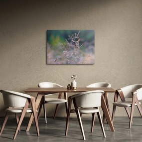 Kép - Fű részlet (70x50 cm)