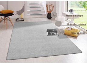 Világosszürke szőnyeg 80x150 cm Fancy – Hanse Home