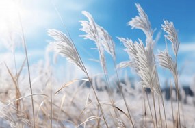 Poszter 91,5x60cm Zaj a fű között