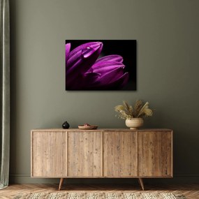 Kép - Vízcsepp (70x50 cm)