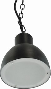 Polux ARNE 311924 Függőlámpa 1x10W/E27 IP44