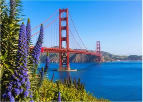 Üveg kép - Golden Gate híd, San Francisco (70x50 cm)