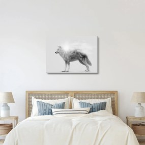 Kép - Vad tájat tükröző sarkvidéki farkas, fekete-fehér (70x50 cm)
