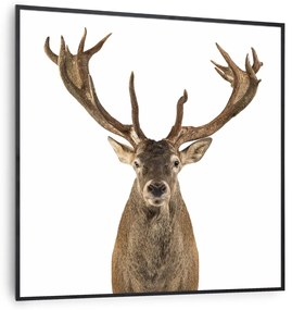 Klarstein Wonderwall Air Art Smart, infravörös hősugárzó, 60 x 60 cm, 350 W, őz