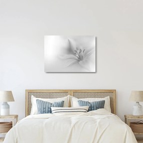 Üveg kép - Delicate Lily (70x50 cm)