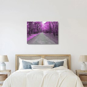 Kép - Út a parkon (üvegen) (70x50 cm)
