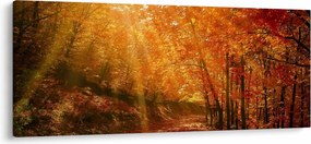 Őszi erdő képe (120x50 cm)