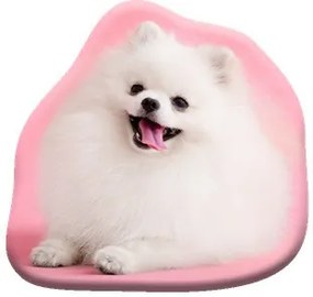 Kutyás Pomeranian formapárna, díszpárna 39x37 cm Velúr