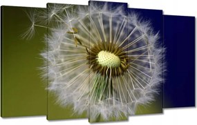 Vászonkép 100x60 Pitypang Virág Virágok