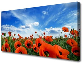 Vászonkép Mező Pipacsok virágok 125x50 cm