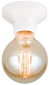 Orion - Mennyezeti lámpatest FROST 1xE27/60W/230V fehér