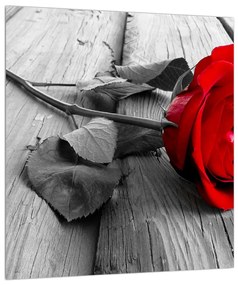 Vörös rózsa képe (30x30 cm)
