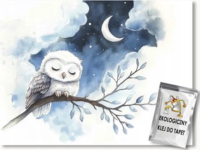 Fotótapéta Flizelina Éjszaka Hold Csillagok Felhők Madár Bagoly 254x184 ragasztó