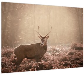 Kép - Szarvas az erdőben (70x50 cm)