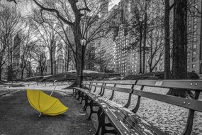 Poszter 60x40cm Sárga esernyő az ösvényen a Central Parkban 2, Assaf Frank