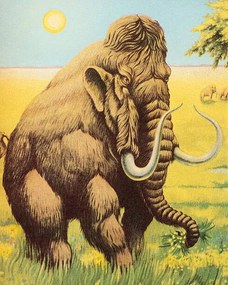 Illusztráció Woolly Mammoth, CSA Images