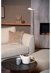 Lucide 19730/10/30 - LED Dimmelhető állólámpa AARON LED/12W/230V fekete