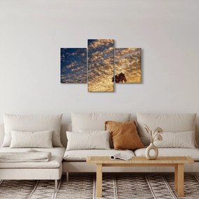 Kép - Pálmafák a felhők között (90x60 cm)