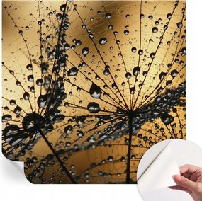 Öntapadós fotótapéta Divatos Finom cseppek 250x250 cm