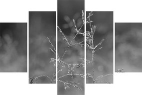 Kép - Vidéki rét (150x105 cm)