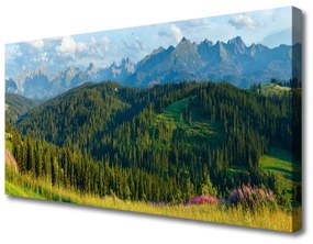 Vászonkép Mount Forest Nature 100x50 cm