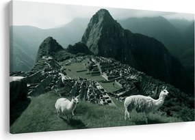 Kép - Lámák a perui Machu Picchunál (90x60 cm)