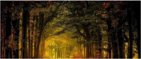 Erdő képe (120x50 cm)