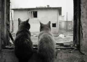 Poszter 84x59,5cm Gondolatok az elhagyatott küszöbről