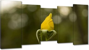 Vászonkép 150x80 Sárga rózsa