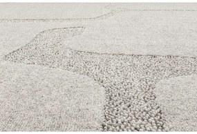 Világosszürke gyapjú szőnyeg 200x300 cm Morphic Organica – Agnella