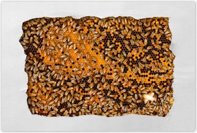 Poszterek 120x80 Ădes mĂ©z szelet